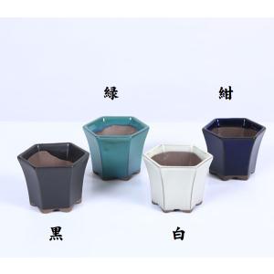 盆栽鉢:六角ケンガイ鉢 2.5号*資材の詳細画像2