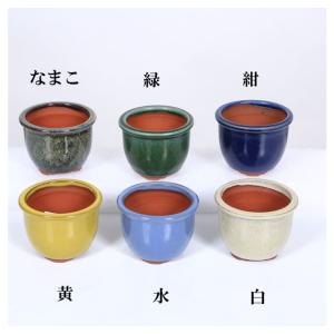 盆栽小鉢：伊藤屯洋(とんよう) 楕円鉢 13.2cm *現品もの 資材 : 遊恵