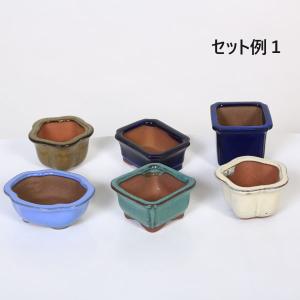 鉢：中国小鉢　６点セット*資材｜y-bonsai