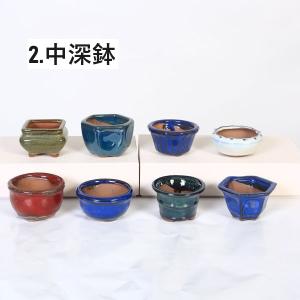 鉢:中国小鉢10点セット 2.5号-A*資材の詳細画像2