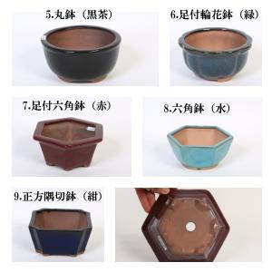 特価鉢:中国中深鉢 5号*資材の詳細画像3