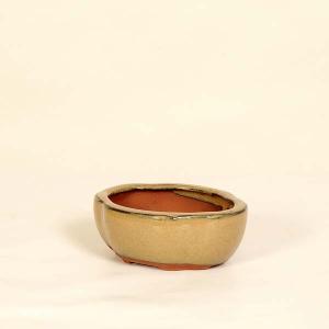 鉢：中国小鉢　モッコ鉢　12.5cm*資材