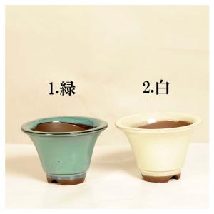 盆栽鉢：国産丸平ソリ鉢　4号*資材