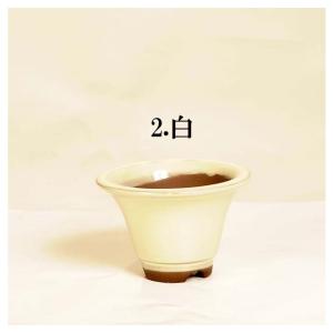 盆栽鉢:国産丸平ソリ鉢 4号*資材の詳細画像3