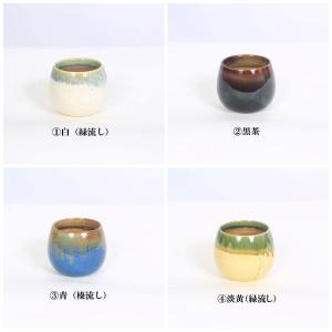 鉢:瀬戸焼湯呑丸鉢 2号*資材の詳細画像2