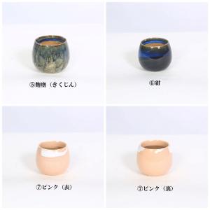 鉢:瀬戸焼湯呑丸鉢 2号*資材の詳細画像3