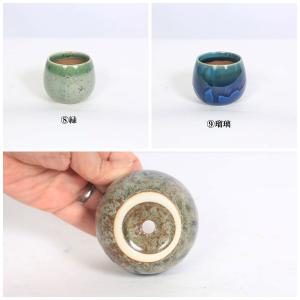 鉢:瀬戸焼湯呑丸鉢 2号*資材の詳細画像4