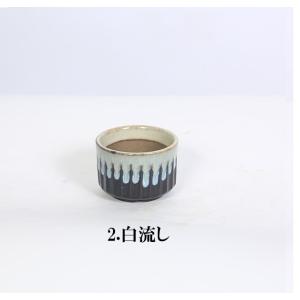 鉢:瀬戸焼丸鉢 2号*資材の詳細画像3