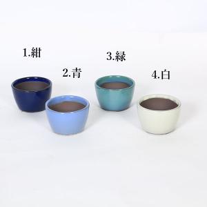 国産鉢：丸鉢　8.2ｃｍ*資材