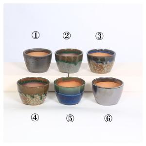 鉢:瀬戸焼切立丸鉢 2.5号*資材の詳細画像1