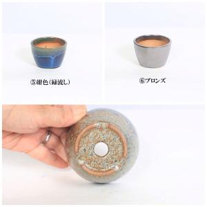 鉢:瀬戸焼切立丸鉢 2.5号*資材の詳細画像3