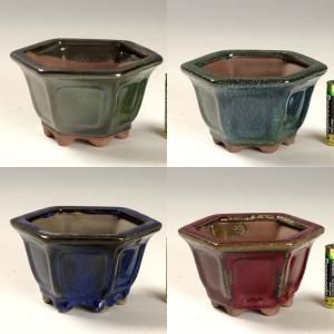 現代小鉢：平安佑泉 丸鉢 8.0cm*資材 へいあんゆうせん : 遊恵盆栽