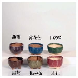 現代小鉢：祥石(二代目)ゆうき*小　丸鉢　2.5号｜y-bonsai