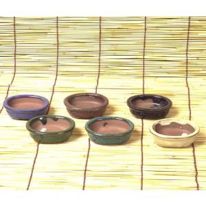 鉢:豆鉢(楕円)* 資材の商品画像