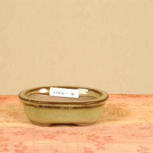 鉢:豆鉢(楕円)* 資材の詳細画像1