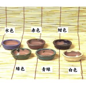 鉢:豆鉢(楕円)* 資材の詳細画像2