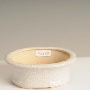 盆栽小鉢：伊藤屯洋(とんよう) 楕円鉢 13.2cm *現品もの 資材