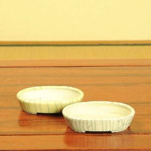 盆栽小鉢：青香(せいこう)（楕円鉢　10cm）*　資材｜y-bonsai