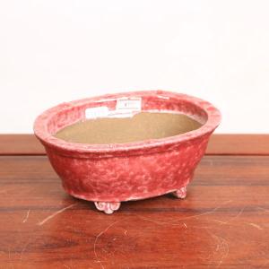 盆栽小鉢：秀峰（楕円鉢　15.6cm）現品もの　資材｜y-bonsai