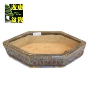 現代小鉢：月香 長方鉢 16.0cm【現】 : 遊恵盆栽 Yahoo!店 - 通販