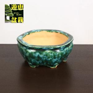 盆栽小鉢：美芸（常滑）六角鬼面足面付鉢 21.5cm*資材 : 遊恵盆栽