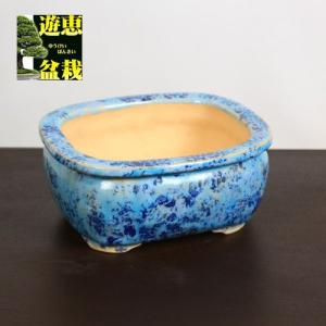 現代小鉢：鴻陽 楕円鉢 11.5cm【現品】 : 遊恵盆栽 Yahoo!店 - 通販