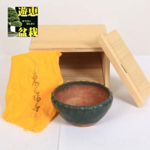 盆栽小鉢：美芸（常滑）六角鬼面足面付鉢 15.5cm*資材 : 遊恵盆栽