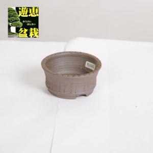 伊藤屯洋　 盆栽鉢 盆栽小鉢：伊藤屯洋(とんよう) 楕円鉢 13.2cm *現品もの 資材