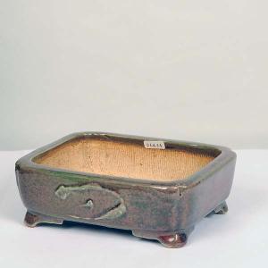 現代小鉢：鴻陽 楕円鉢 11.5cm【現品】 : 遊恵盆栽 Yahoo!店 - 通販