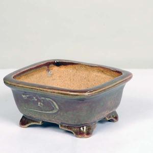 現代小鉢：平安虹泉 正方鉢 11.0cm【現】*資材 : 遊恵盆栽 Yahoo!店