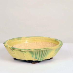 現代小鉢：平安虹泉　モッコ鉢　21.5ｃｍ【現】*資材