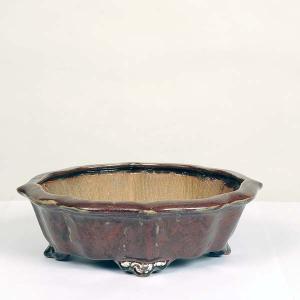 現代小鉢：平安虹泉　剣モッコ鉢　25.5ｃｍ【現】*資材