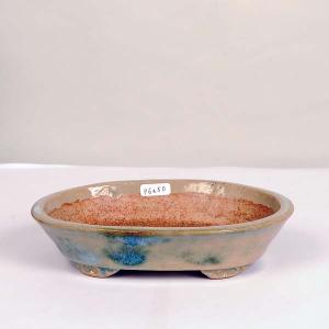 盆栽小鉢:東福寺 楕円鉢 16.7cm【現】*資材の詳細画像1