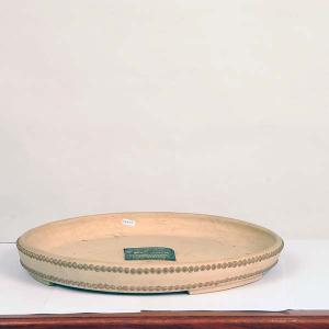 盆栽小鉢：俊豪　36.5cm【現】*資材