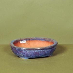 盆栽小鉢：伊藤屯洋(とんよう) 楕円鉢 13.2cm *現品もの 資材