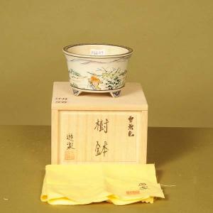 盆栽小鉢:秀功堂遊楽 丸鉢 9.2cm【現】*資材の詳細画像2