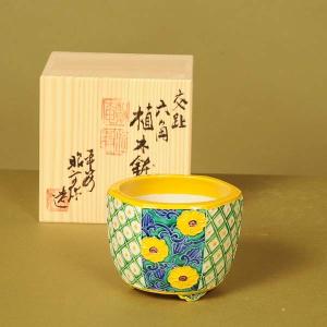 盆栽：すもも 現品*スモモ Prunus salicina Simomo bonsai 小品盆栽