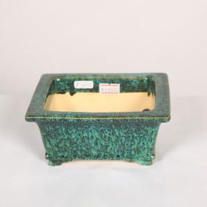 盆栽小鉢：伊藤屯洋(とんよう) 楕円鉢 13.2cm *現品もの 資材 : 遊恵