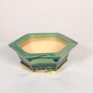 盆栽小鉢：真山（まざん）楕円鉢 13.7cm 【現品】 : 遊恵盆栽 Yahoo!店