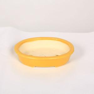 現代小鉢：鴻陽 楕円鉢 11.5cm【現品】 : 遊恵盆栽 Yahoo!店 - 通販
