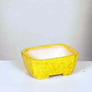 盆栽鉢　柴勝c 現代小鉢：柴勝 長方鉢 16.0cm【現】 : 遊恵盆栽 Yahoo!店 - 通販