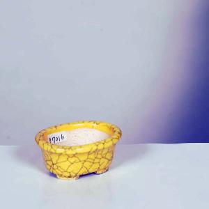 現代小鉢：柴勝 長方鉢 10.0cm【現】 : 遊恵盆栽 Yahoo!店 - 通販