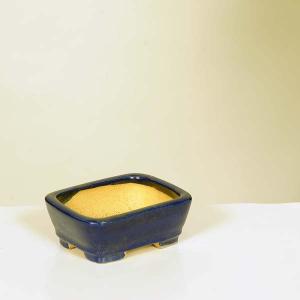 現代小鉢：平安佑泉 楕円鉢 8.0cm *資材 へいあんゆうせん : 遊恵