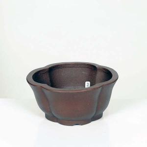 盆栽小鉢：美芸（常滑）六角鬼面足面付鉢 15.5cm*資材 : 遊恵盆栽