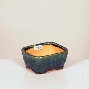 美芸　六角　盆栽鉢 盆栽小鉢：美芸（常滑）六角鬼面足面付鉢 21.5cm*資材 : 遊恵盆栽