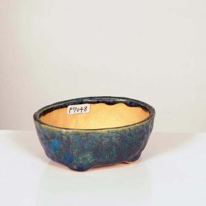 現代小鉢：月香 楕円鉢 16.0cm【現】*資材 : 遊恵盆栽 Yahoo!店 - 通販