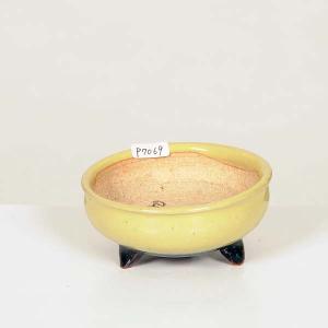 盆栽小鉢：伊藤屯洋(とんよう) 楕円鉢 13.2cm *現品もの 資材 : 遊恵