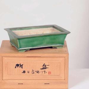 現代小鉢:井上良斎 長方鉢 15.0cm【現】*資材の詳細画像1