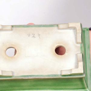 現代小鉢:井上良斎 長方鉢 15.0cm【現】*資材の詳細画像2