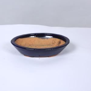 盆栽小鉢：美芸（常滑）六角鬼面足面付鉢 21.5cm*資材 : 遊恵盆栽